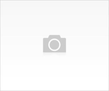 Hamilelikte Gerekli Testler
